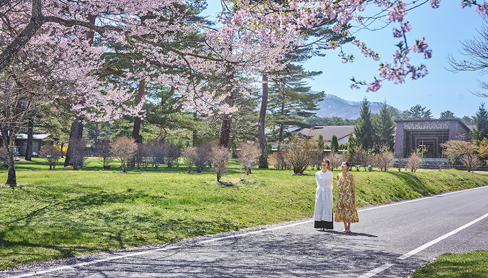 新緑の軽井沢で過ごすひととき