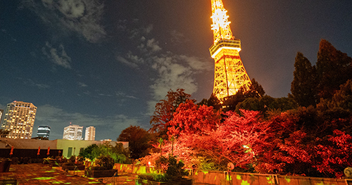 TOKYO RED TERRACE