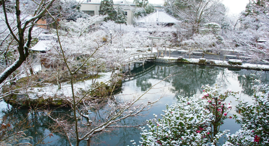 冬旅